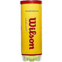 Wilson Championship Extra Duty Training + Tournament Play 3 Ball