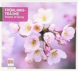DREAMS OF SPRING                                   image