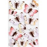 Martha Stewart Crafts Decorative Stickers, Sunny Days Ombre Butterfly