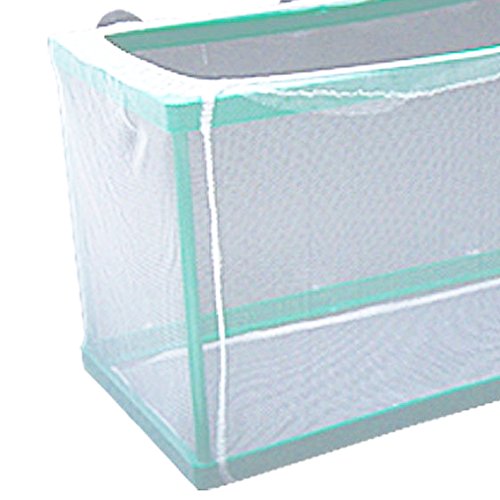 Aquarium Fry Hatchery Net Breeder, Green & White Keeping Fish