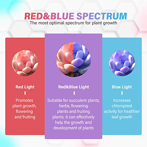 TOPLANET LED Grow Light Strip, 40W 64 LED Chips 4 Dimmable Levels Plant Light with 3H/6H/12H Timer, Red Blue Spectrum Growing Light for Indoor Plants