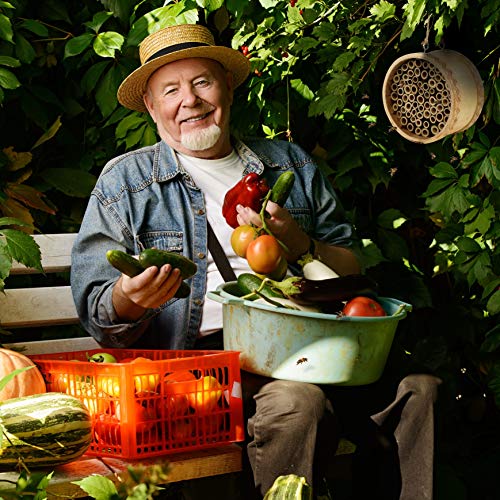 1 Mason+Bee+House+Pollinators+Productivity