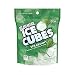 Ice Breakers Gum, Sugar Free Ice Cubes with Xylitol, Spearmint, 100 Piece Pouch