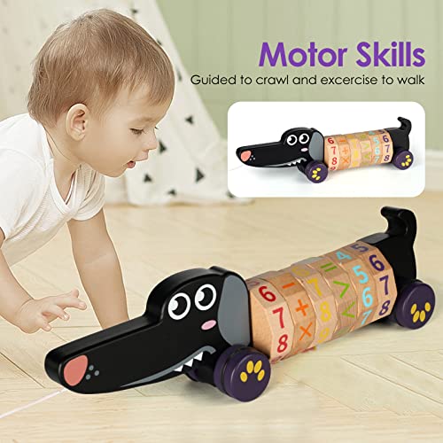 Dog Pull ToysMontessori Wooden ToysAbacus for Toddlers 13Preschool