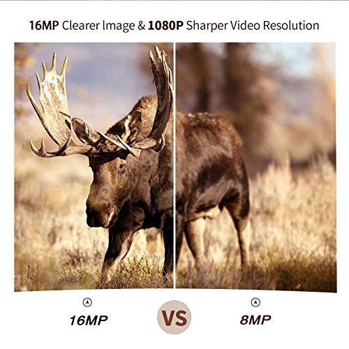 2 Campark+Camera+12MP+Wildlife+Waterproof+Scouting