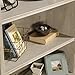 Sauder Costa Library Hutch, Adjustable Shelves for Flexible Storage, Library Bookcase - Chalked Chestnut Finish