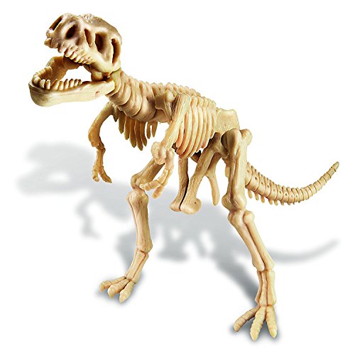 Dig A Dino Tyrannosaurus Rex