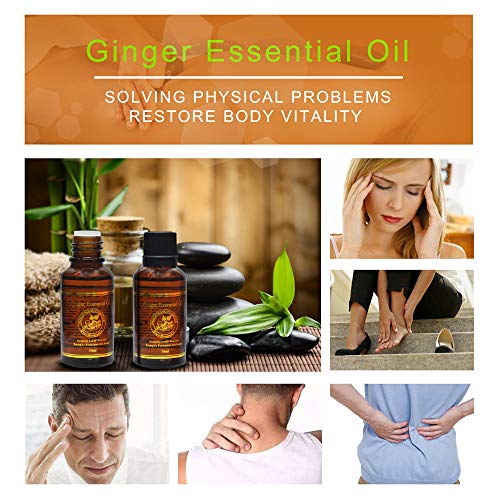 30ml Ginger Oil Essential Pure Natural Plant Therapy Lymphatic Beauty Drainage Ginger Body Massage Spa Oil for Aromatherapy, Skin, Bath, Foot Therapy, Family, Stamina Bathing Relaxation (C) - Thumbnail 2