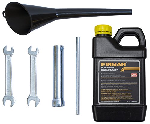 Firman P03605 Performance Series 3650 Watt 120/240 No Wheel