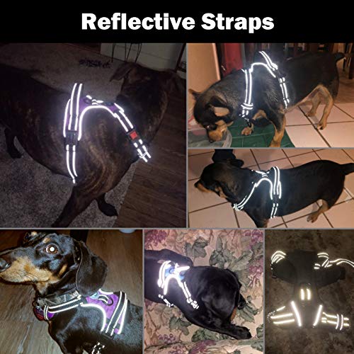 PHOEPET No Pull Dog Harnesses for Small Dogs Reflective Adjustable