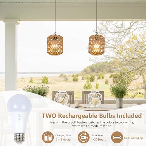 Rayofly 2 Pcs Indoor Rechargeable Hanging Lamp, Boho Hanging Lamp with Battery, Rattan Hanging Lamp without Power Supply, Outdoor Garden Lights with Bulb & Remote Control