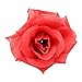 Topixdeals Silk Rose Heads Artificial Flowers,Silk Cream Rose Heads,for Anniversary,Wedding Flowers,Accessories Make Bridal Hair,Clips Headbands Dress(50 pcs,Passion Red)