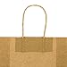 bagmad Sturdy 5.25x3.25x8 inch 100 Pack Small Paper Bags with Handles Bulk, Brown Kraft Bags, Gift Party Favors Grocery Retail Strong Shopping Craft Cub Sacks (Thicken, 100Pcs) (100)