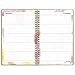 AT-A-GLANCE Weekly / Monthly Planner / Appointment Book 2017, Recycled, 5-1/2 x 8-1/2
