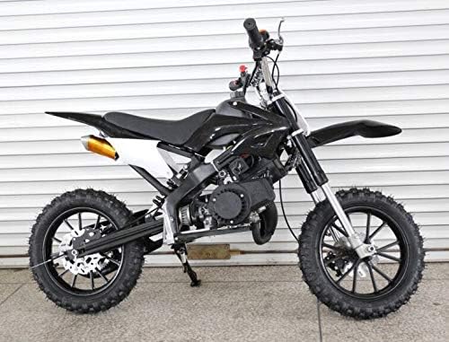 Kids Petrol Engine 49CC Sports Dirt Bike