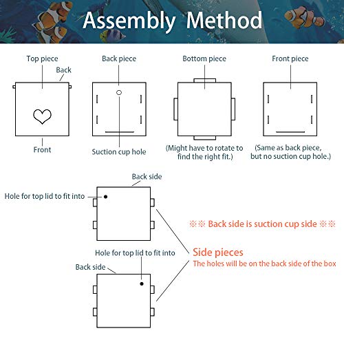 4 Hamiledyi+Aquarium+Isolation+Hatchery+Incubator