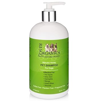 organic dog shampoo for itchy skin