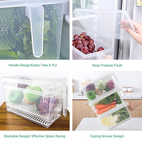 Produce Saver Containers for Refrigerator 4.5L x 3 SILIVO FreshWorks