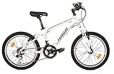 HASA 18 Speed kids mountain bike image large