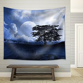 Desert Landscape - Fabric Wall Tapestry Home Decor - 51x60 inches