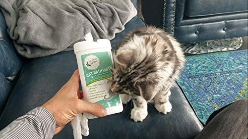 Hygea Natural Cat Bath Wipes with Catnip, Cleansing, & Reduce Allergens - Hypoallergenic- 20 Count