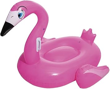 bestway flamingo float