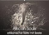 African Souls - afrikanische Tiere mit Seele (Wandkalender 2019 DIN A2 quer): Zauberhafte Tierseelen der afrikanischen Natur (Monatskalender, 14 Seiten ) by 