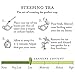 Tea Forté GREEN MANGO PEACH Organic Loose Leaf Green Tea, 3.5 Ounce Tea Tin