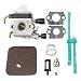 Savior FS55 Carburetor C1Q-S97 with Fuel Line for Stihl FS45 FS55R FS55C KM55 FS38 FS45C FS45L FS46 FS46C Trimmer 4140 120 0612 4140 120 0619 primary