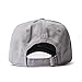 AA Apparel Yeezus Tour Glastonbury Dad Hat Kanye West Yeezy (Grey)