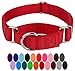 Country Brook Petz Martingale Dog Collar - Heavy-Duty Training Collar with No Buckle - Service Dog Collar for All Pups - Vibrant, Colorful Collection (Red, 1 Inch, Large)