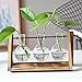 Terrarium Bulb Vase with Wooden Stand, Rustic Plant Mint Leaves and Spider Planter Holder for Home & Office Desk Decoration(3 Terrariums)