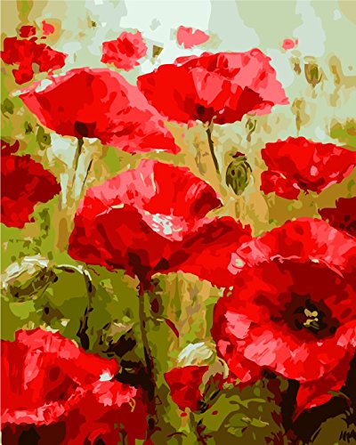 YEESAM ART DIY Ölgemälde Malen nach Zahlen Erwachsene Kinder, Rot Mohnblumen Blume Zahlenmalerei ab 5 Öl Wandkunst (Rot, Ohne Rahmen)