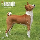 Basenjis 2017 Wall Calendar