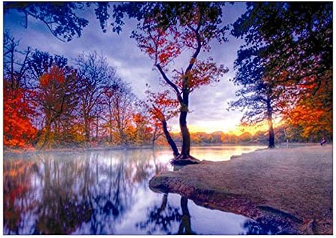 Rameng- Diamond Painting Paisaje Completo DIY Brillantes de ...