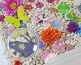 Butterfly Garden Discovery Kit for Sensory Play (No Box)