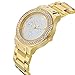 Timothy Stone FACON STAINLESS Gold Women's Design Watch 39mm