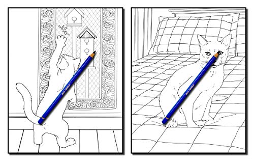 Download Cats Quilts Adult Coloring Book Pricepulse