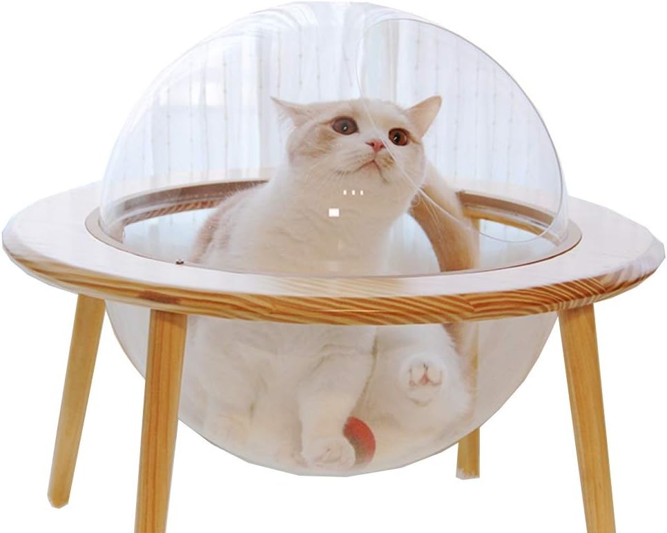 ufo cat bed