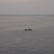 カスタマー画像