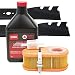 Toro Time Master (Serial Range 314000001 & UP) Tune-up Kit primary