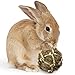 SunGrow Dental Floss Fiber Ball for Rabbit, Cat, Dog, Cleans Teeth to Maintain Healthy Gums, Play Ball, Grinding and Gnawing Treats for Chinchilla, Hamsters, Gerbils