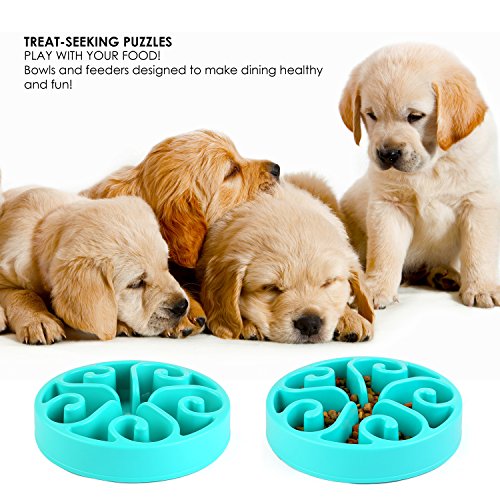 pedy-pet-fun-feeder-dog-bowl-slow-feeder-slow-feed-dog-bowl-bloat