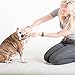 Arm & Hammer Advanced Care Adult Dog Toothbrush | Best Dental Care For All Dogs | Promotes Fresh Breath
