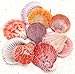 Anyumocz Sea Shells Mixed Beach Seashells- Natural Colorful Sea Shells Starfish Perfect for Candle Making,Home Decorations,Fish Tank and Vase Fillers,Beach Theme Party Wedding Decor, DIY Crafts