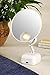 Floxite Fl-615 15x Supervision Magnifying Mirror Light, White, Frosted White