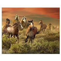 Visual Echo 3D Effect The Wild Bunch 3D Lenticular Puzzle 500pc S4
