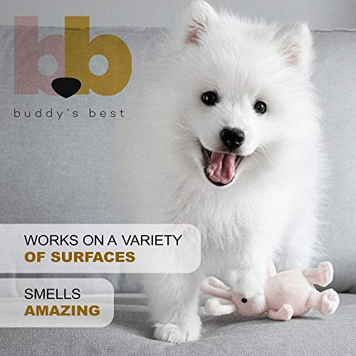 Buddy's Best, Pet Urine Odor Eliminator, Deodorizer, and Stain Remover - Enzymatic Cleaner for Dog Urine - Effective… - Image 7