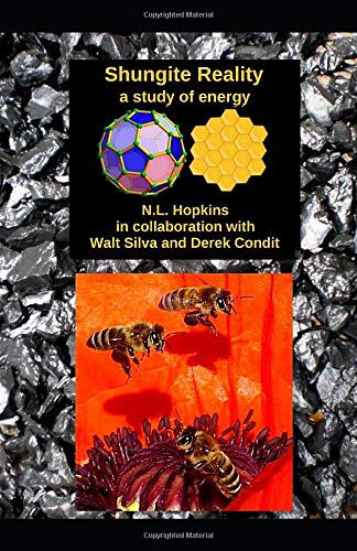 Shungite Reality: a study of energy