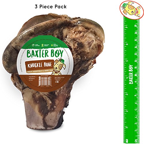 Baxter Boy Premium Grade Roasted Beef Knuckle Bone Dog Treat (3 Pack